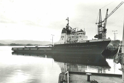 Yno 49 H Mammoth Tide